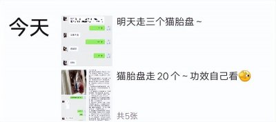 ​“吃猫胎盘补身”一条朋友圈触目惊心：一些人的愚昧，你想象不到