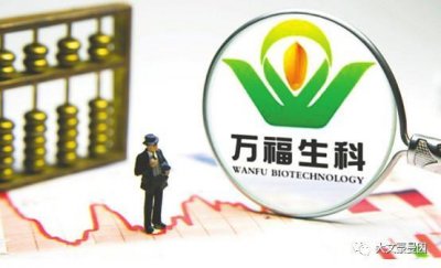 ​上市公司万福生科造假案例分析