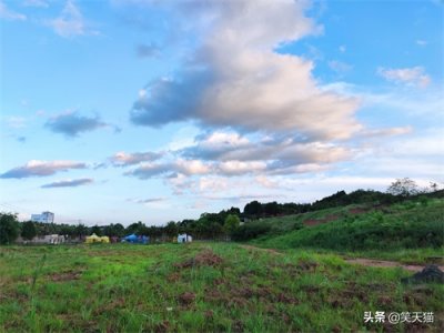 ​德阳中江县城芍药谷度假中心，钓鱼烧烤露营、吃饭喝茶看风景