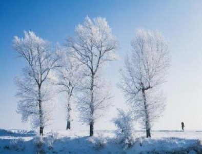 ​如何堆雪人(如何玩雪人)